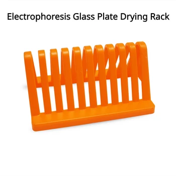  Стойка за сушене на стъклени плочи за електрофореза Biosharp BS-QT-003 (10 отделения) Сушилня за стъклени плочи за електрофореза